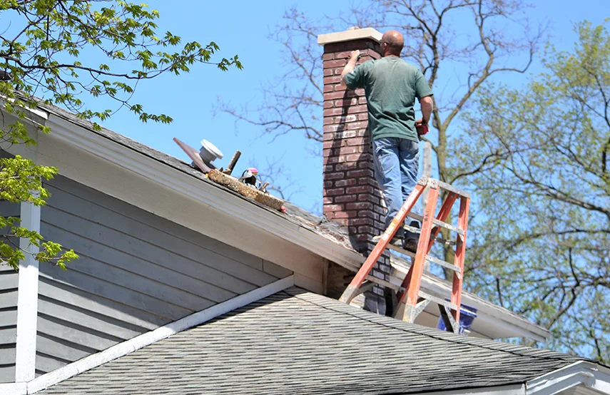 Chimney & Fireplace Inspections Services in Elmont, NY